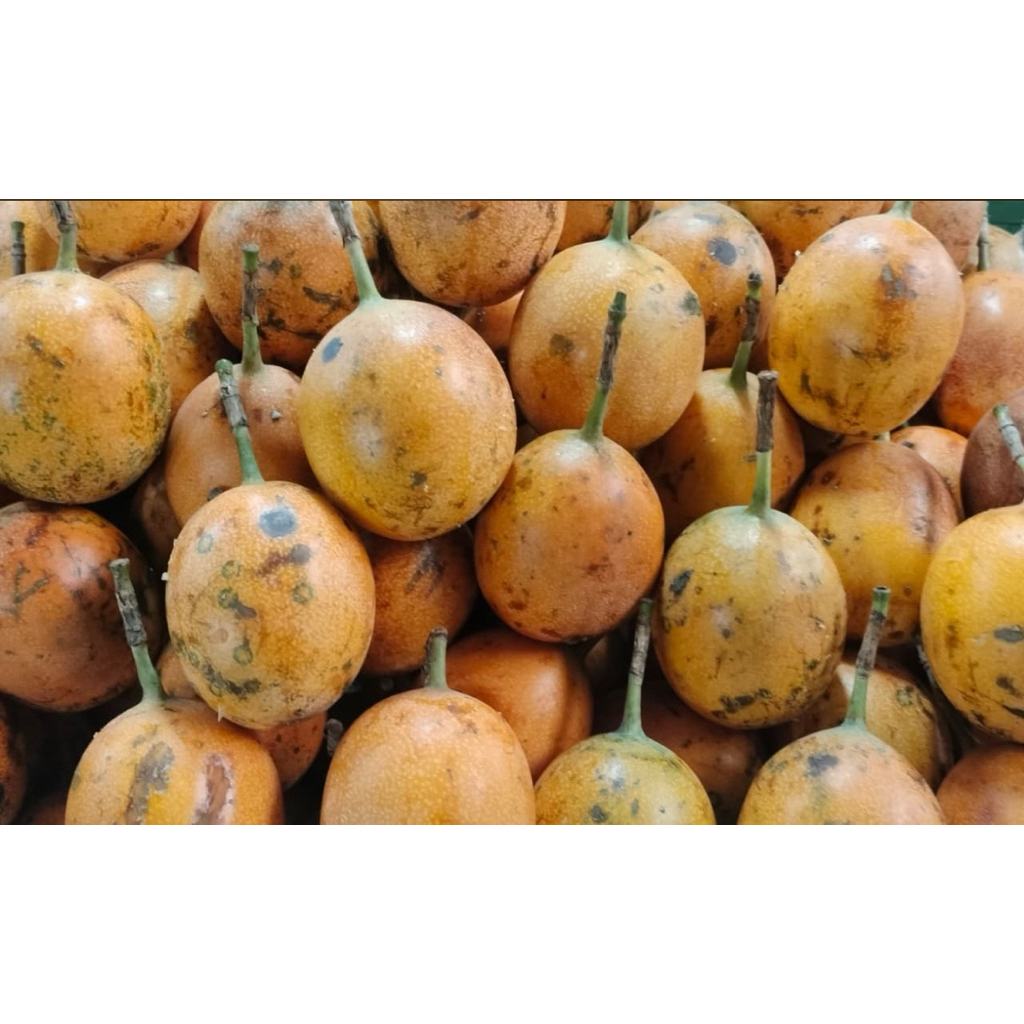 

Markisa Madu enak manis