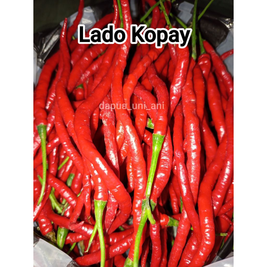 

CABE MERAH KOPAY / CABE KOPAY / LADO KOPAY 1KG