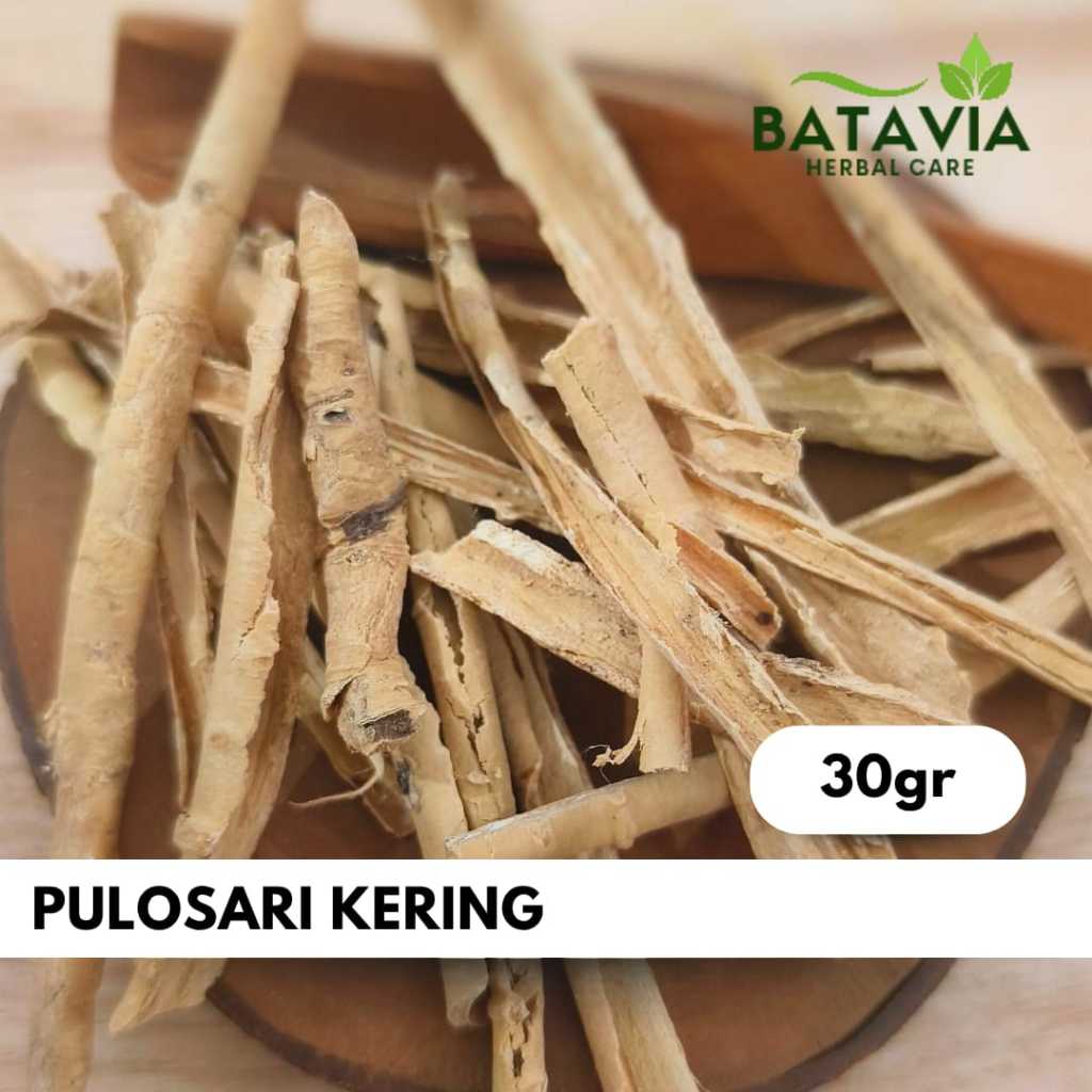 

Kayu Pulosari Palasan Pulasari Simplisia Herbal