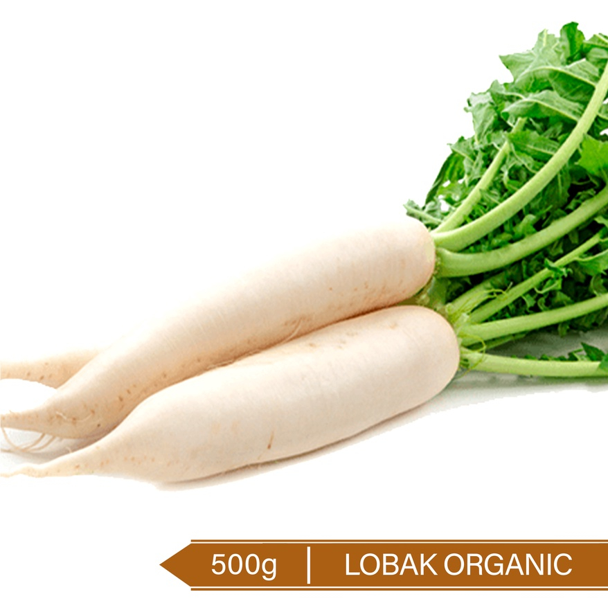 

Lobak Organik 500g / Organic Winter Radish 500g