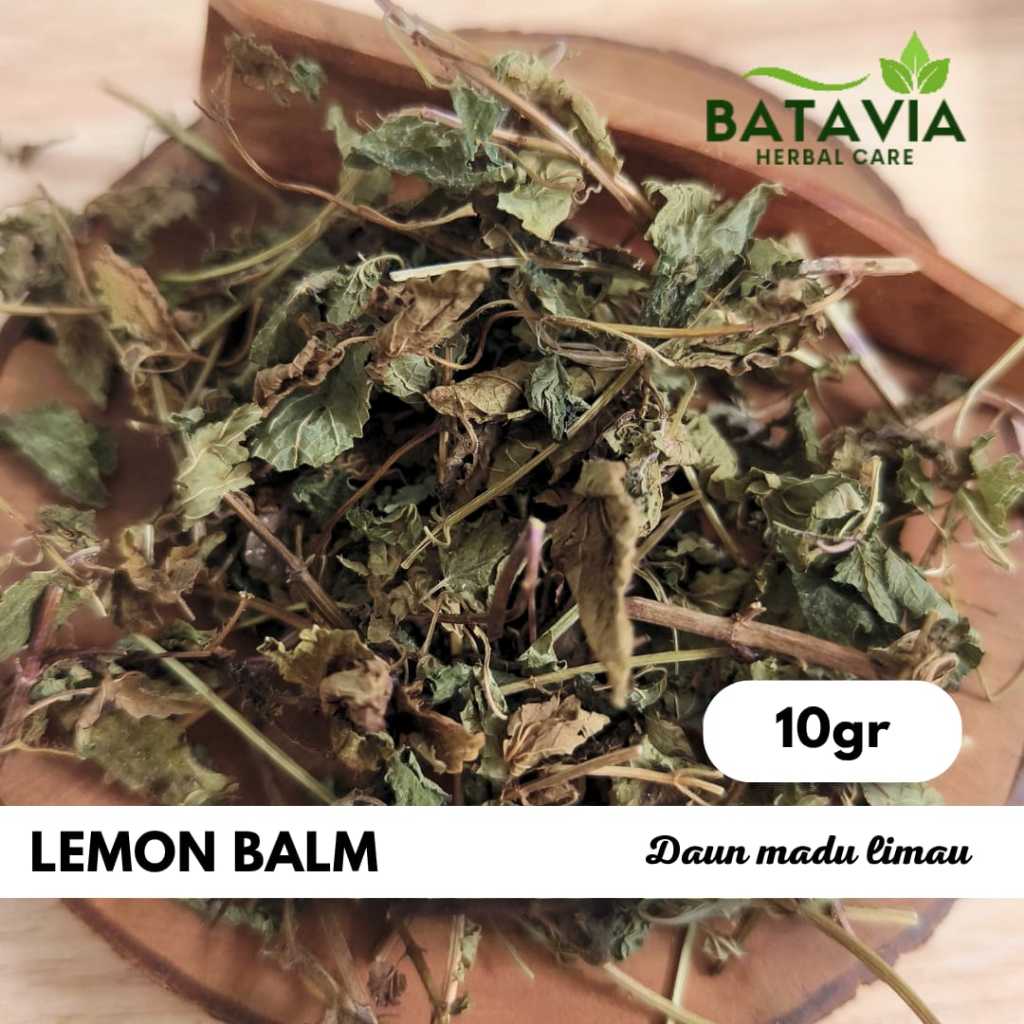 

Lemon Balm Leaves Balm Mint Tea Daun Lemon Mint Melissa Officinalis