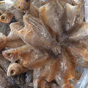 Ikan asin sepat rawa