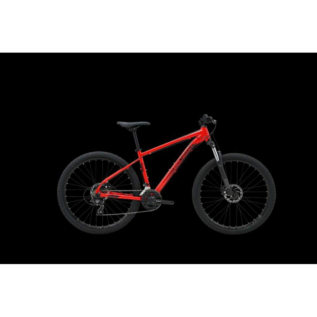 SEPEDA POLYGON CASCADE 3