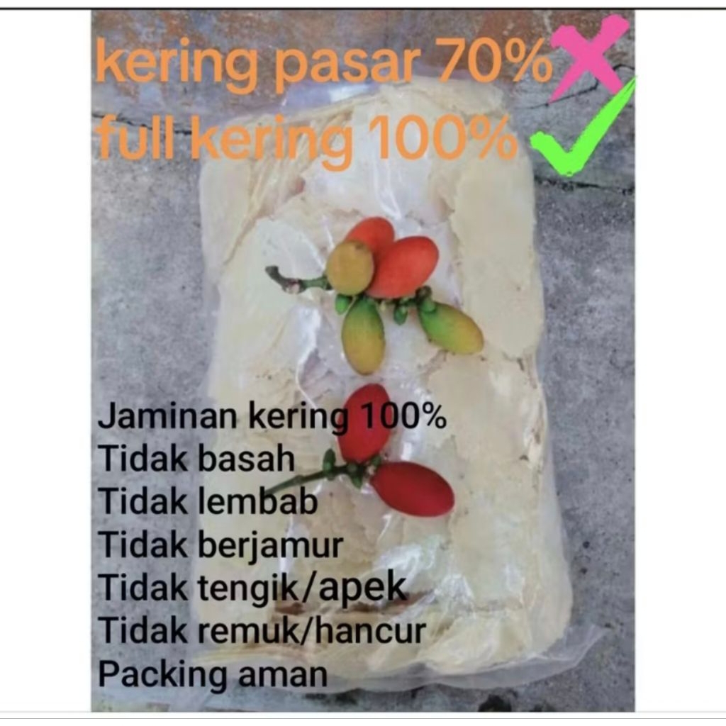 

Emping Melinjo Kecil (biji 1) 1/2 kg Full Kering Asli Kebumen Kripik Snack Camilan Murah
