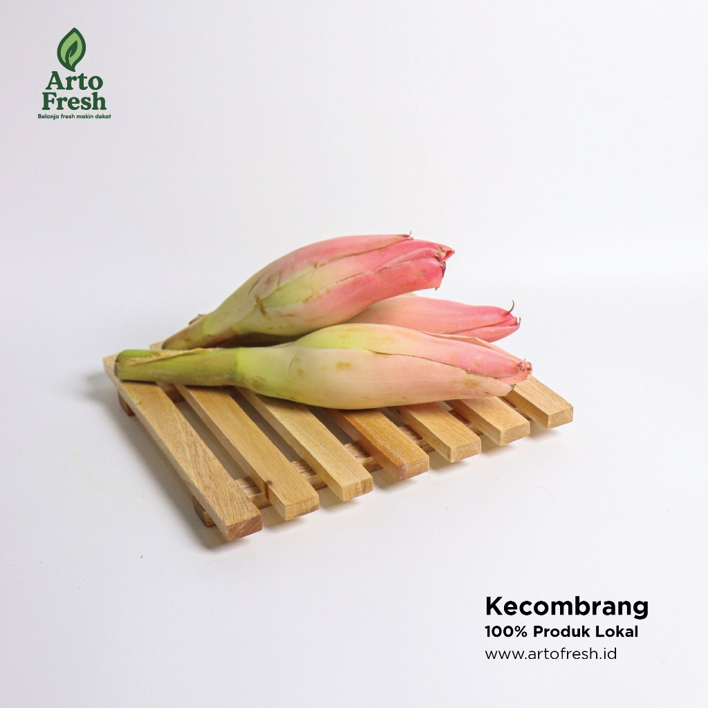 

Kecombrang, Artofresh