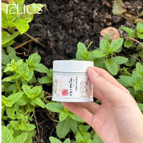 

[READY] IPPODO Horai No Mukashi Matcha Ceremonial 20gr