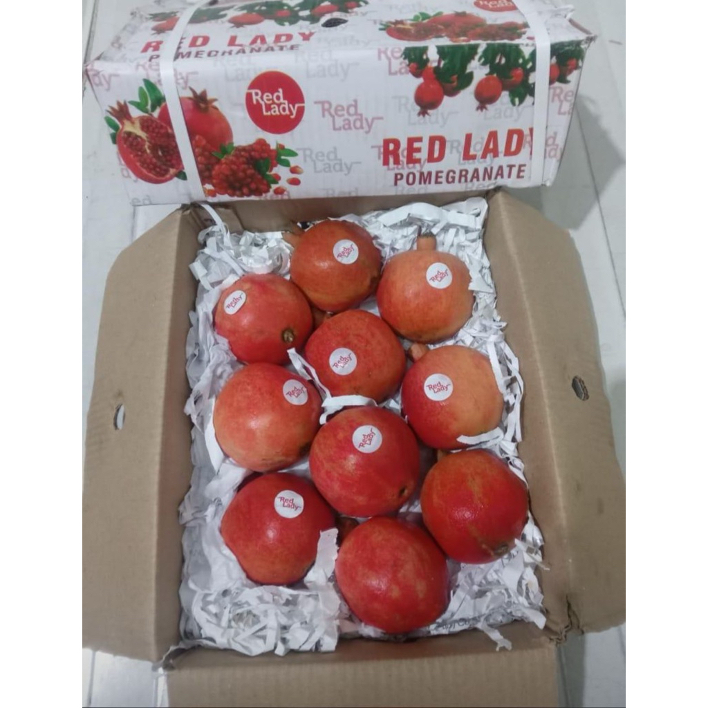 

Delima India Super Manis 1 Box Isi 10 Buah | Indian Pomegranate Fresh Import Premium