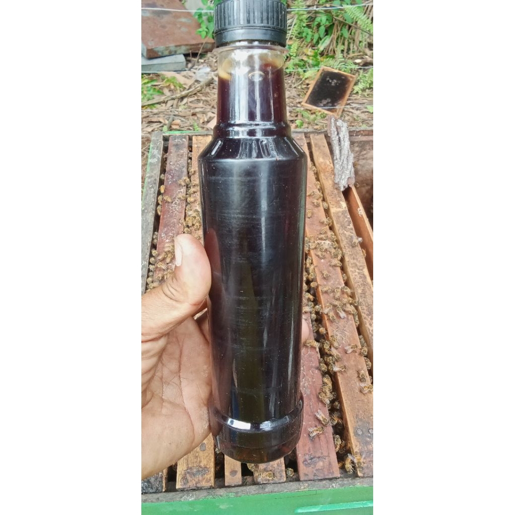 

MADU ASLI DARI HUTAN AKASIA RIAU