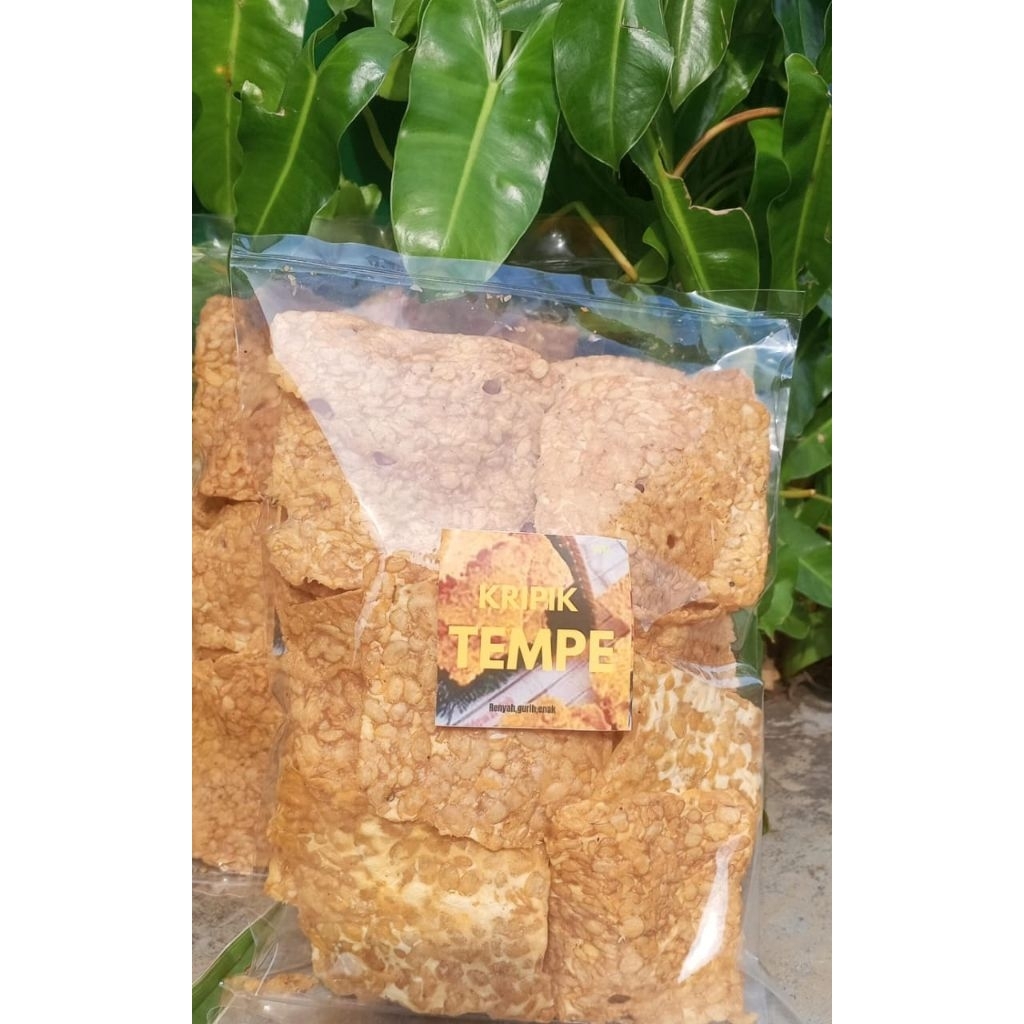 

Kripik Tempe Renyah & Gurih – Camilan Tradisional Favorit!