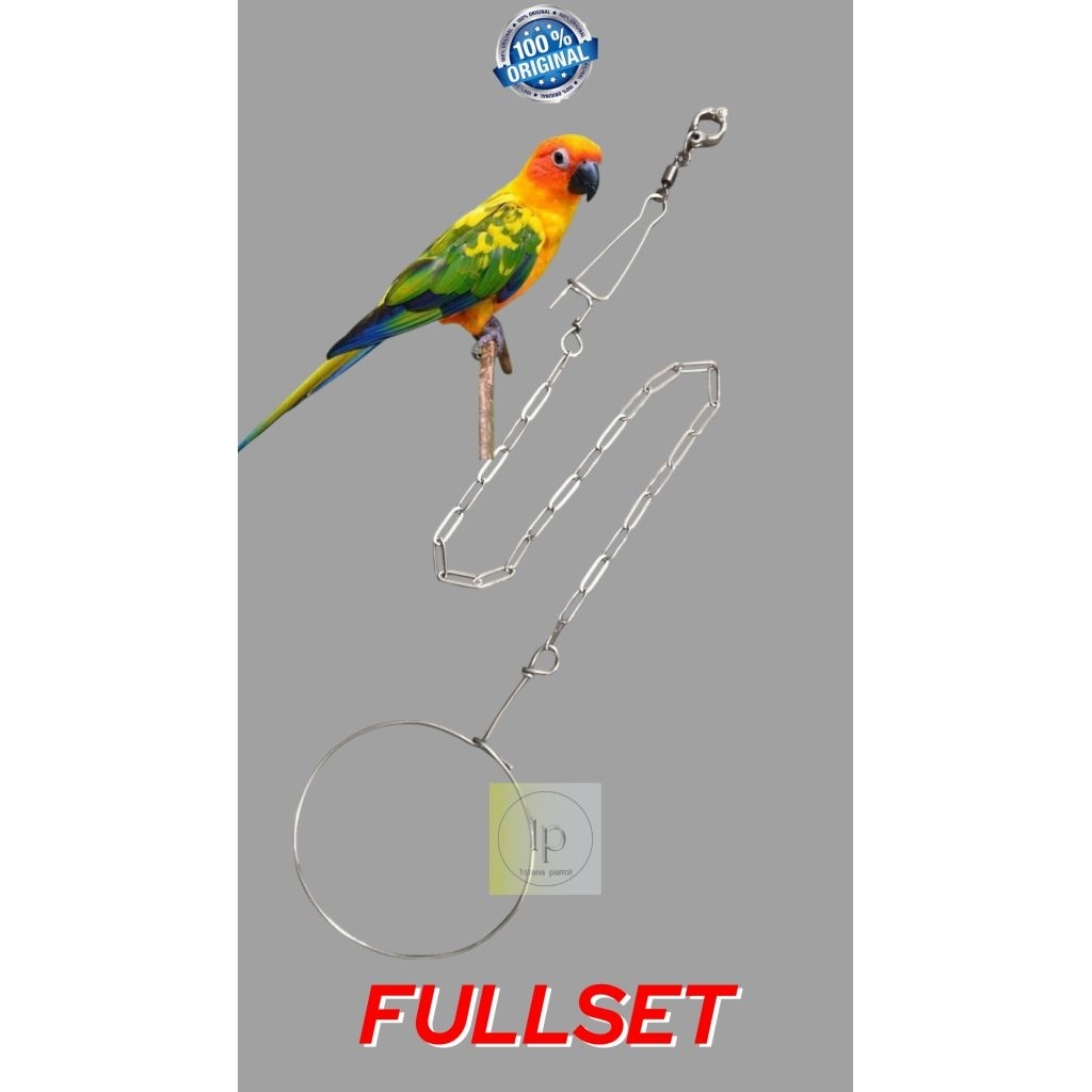 Rantai 1mm Sunconure,IRN& Hans macaw. Stainless 304 anti karat