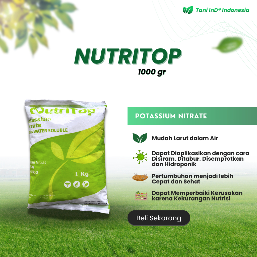 Nutritop Pupuk Potasium Nitrat 1000 gr untuk memperkuat buah dan bunga