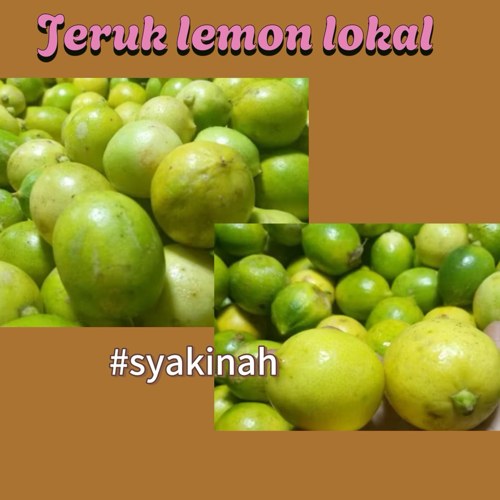 

JERUK LEMON LOKAL SEGAR 1 KG