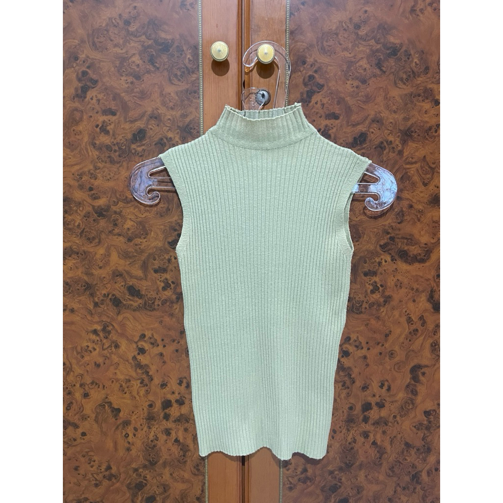 Brown Sleeveless Turtleneck