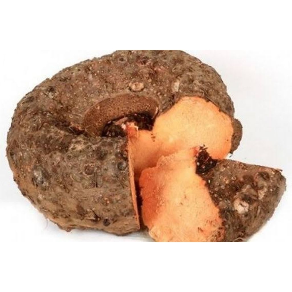 

Suweg 1 Kg Dari Petani Harga Grosir