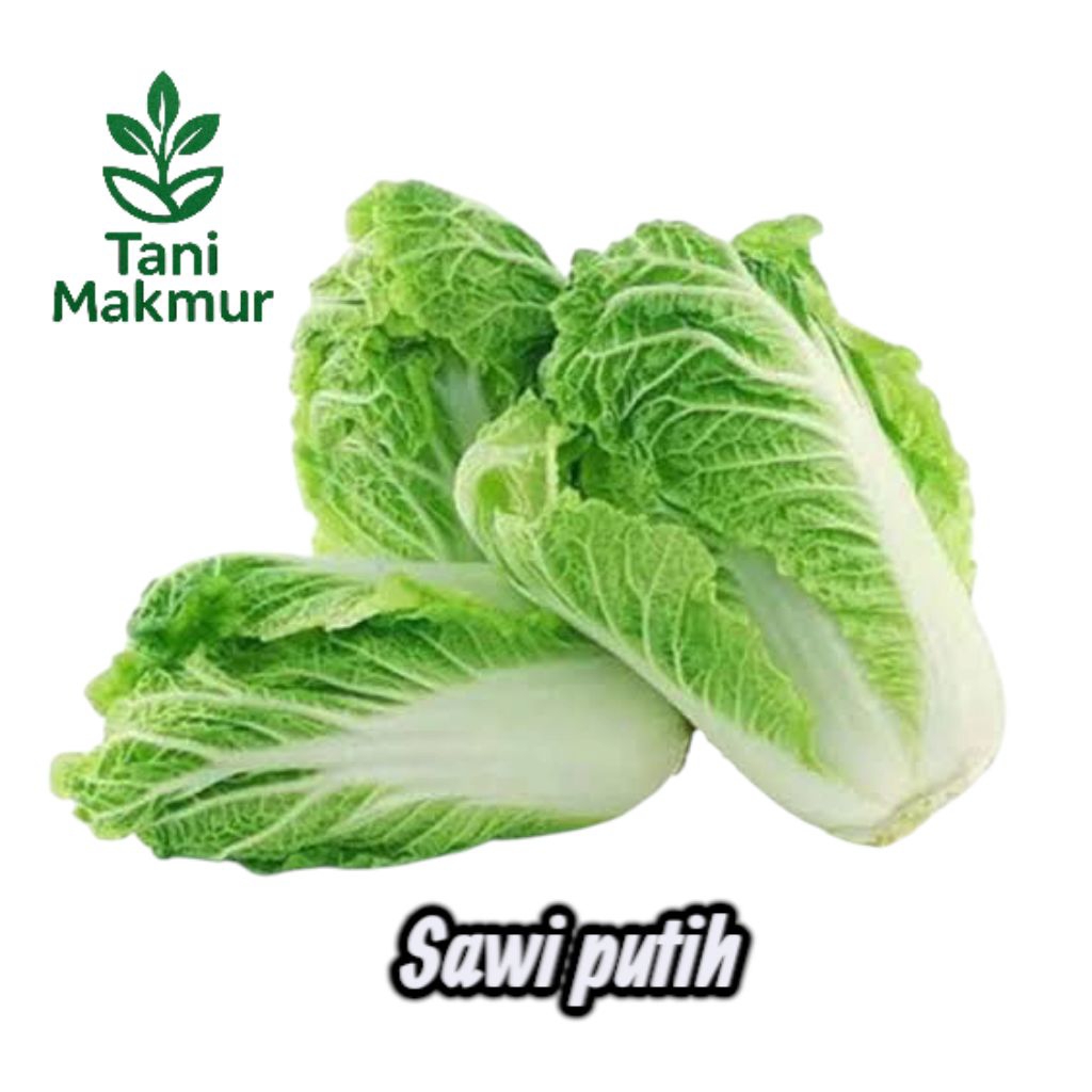 

Benih Sayuran Sawi Putih (Brassica brapa) kemasan seribuan