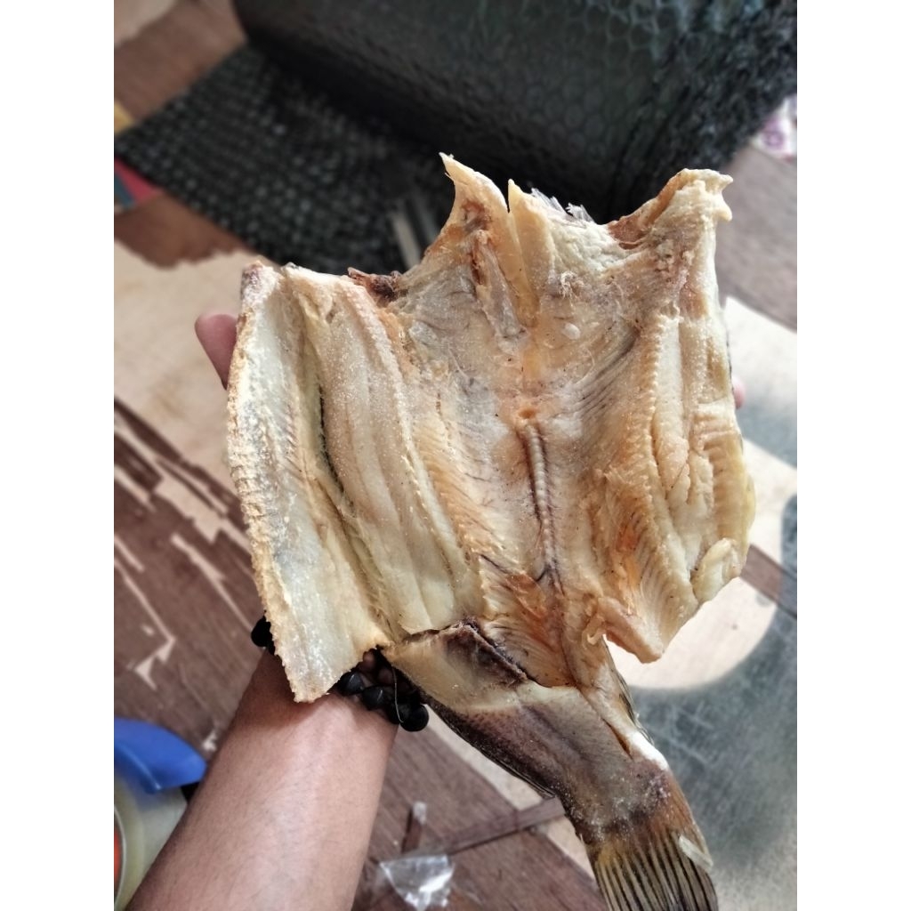 

Ikan Asin Gabus super besar 500 gram 1 kg