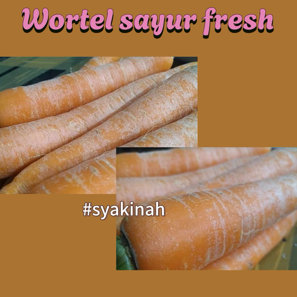 

WORTEL SAYUR PILIHAN 1 KG