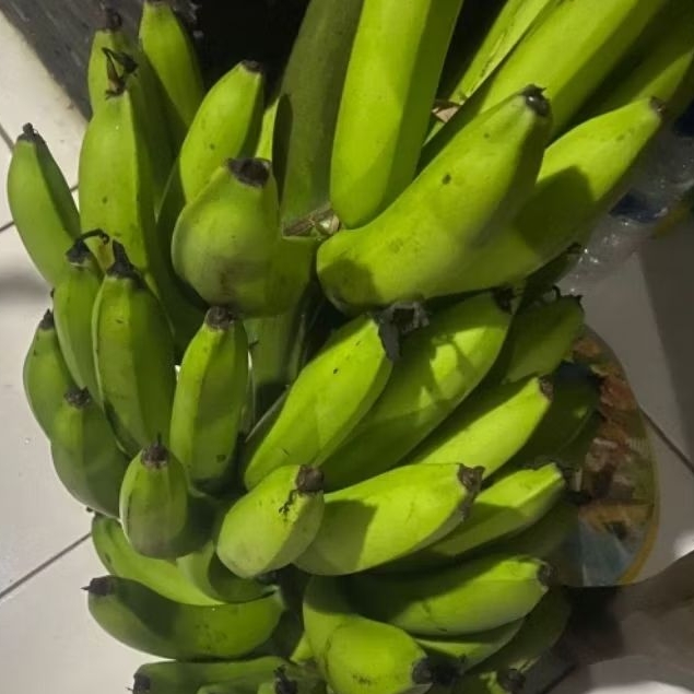 

Buah Pisang Mentah IND PB Pisang Bangkaulu