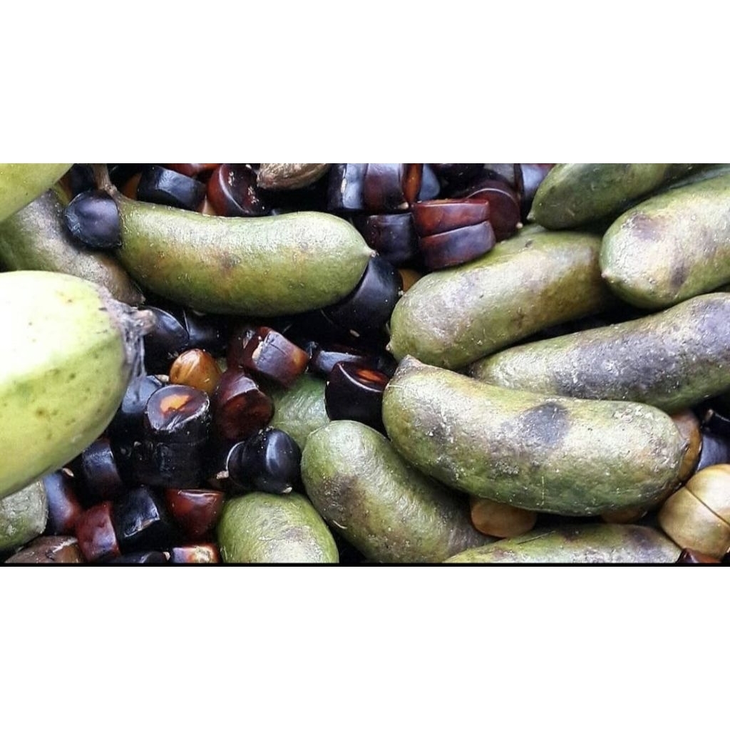 

jaling kulit, kabau , jolang jaling