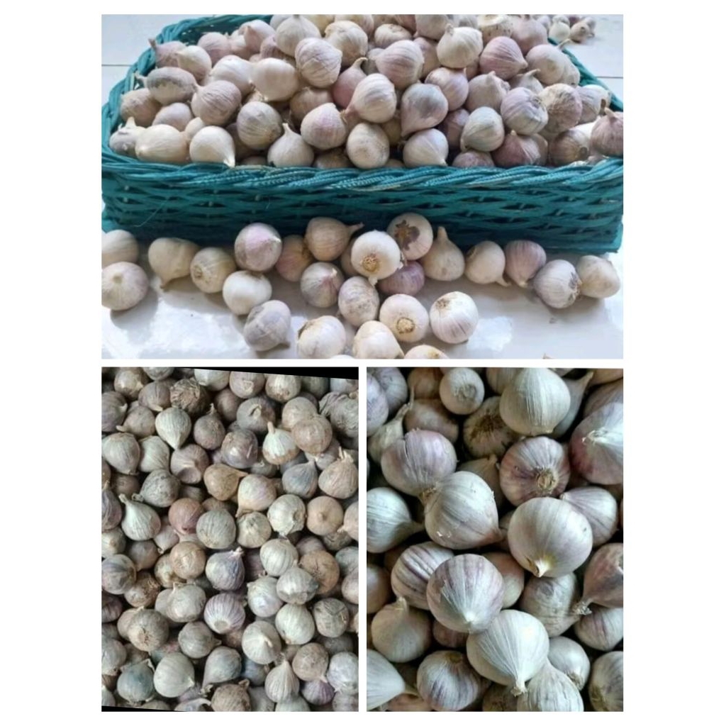 

BAWANG TUNGGAL/BAWANG LANANG 150g