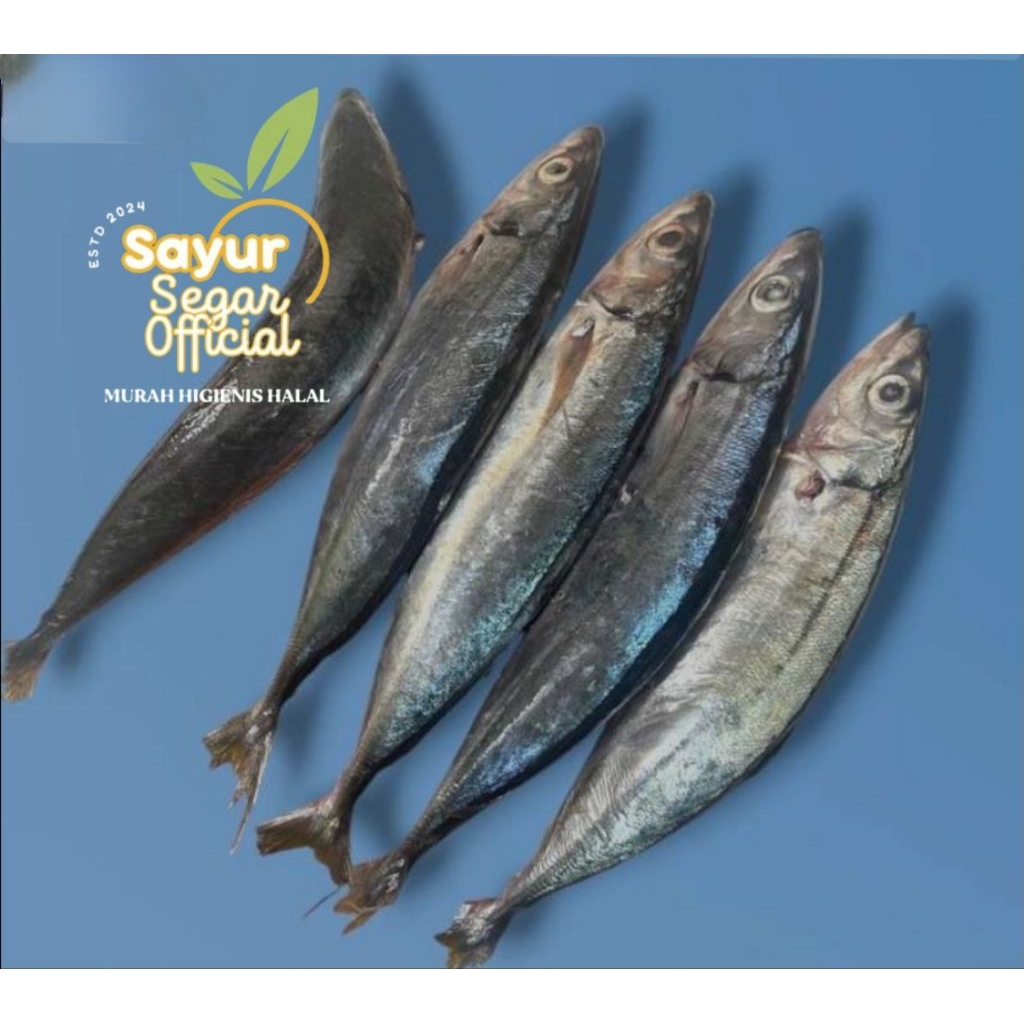 

Ikan Kembung Layang Segar 500gr - Kirim Instan