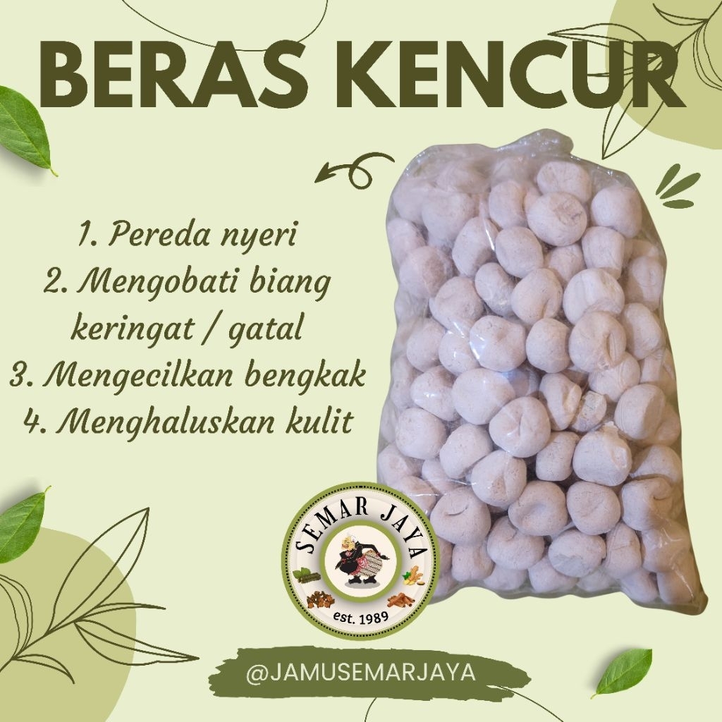 

SEMAR JAYA | PAREM BERAS KENCUR PUTIH, ORGANIK, ALAMI, OBAT TRADISIONAL, ASLI 100% MURNI, HERBAL