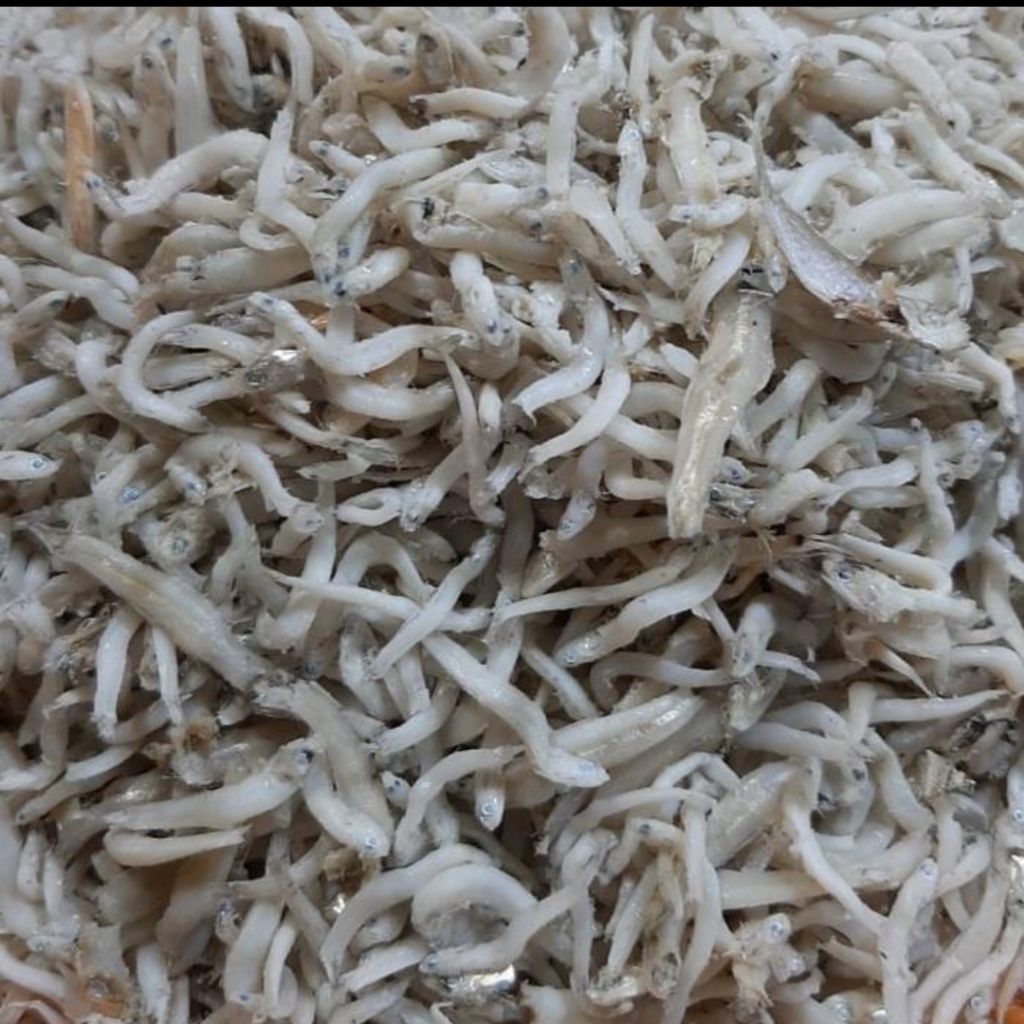 

Ikan Teri Medan 250gram