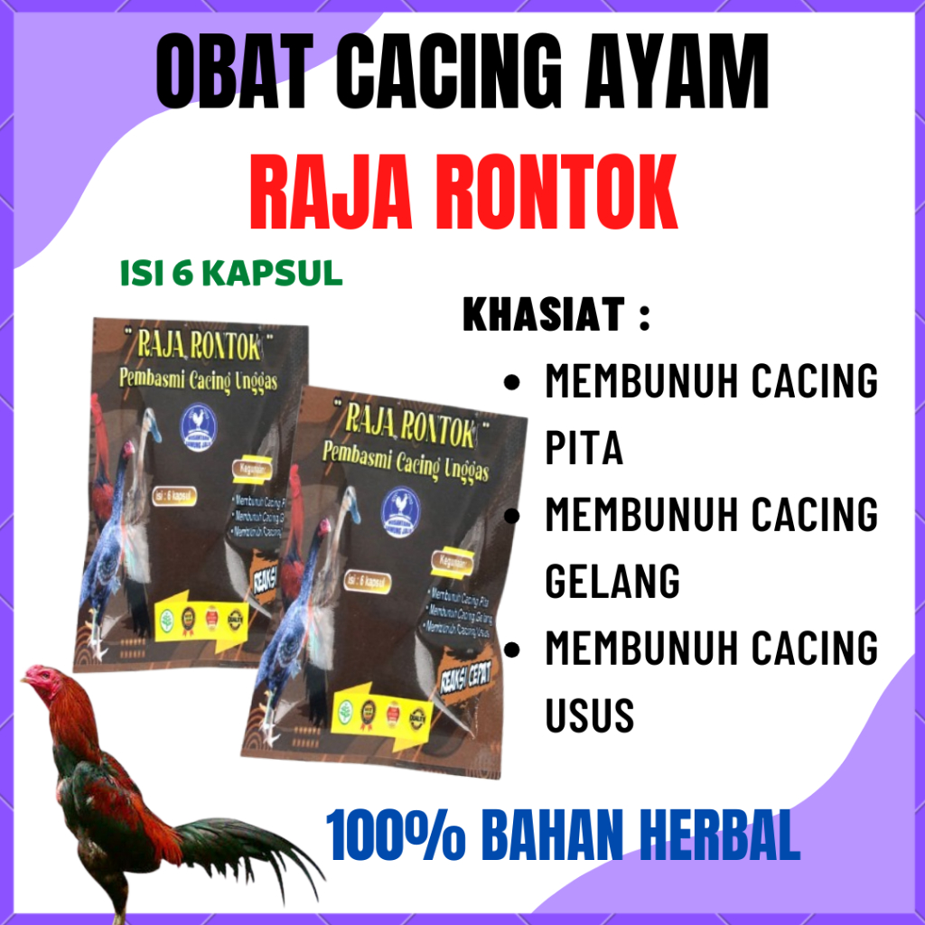 RAJA RONTOK OBAT CACING AYAM PEMBUNUH SEGALA JENIS CACING PADA AYAM