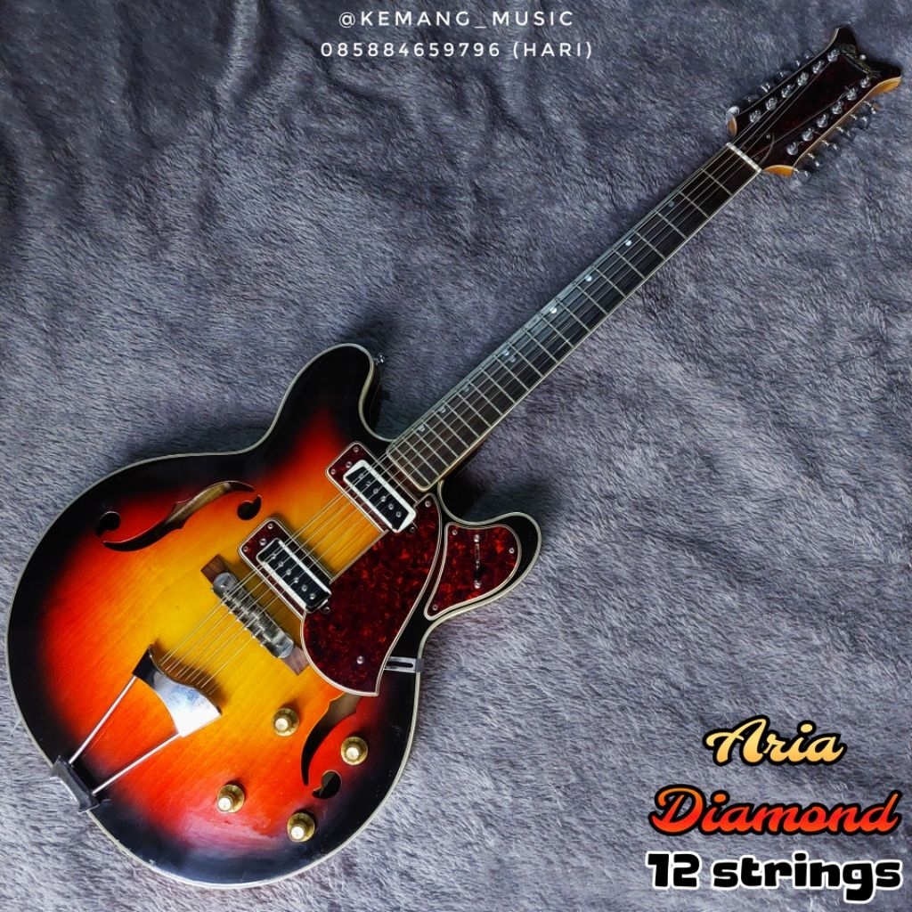 gitar hollow body 12 senar gitar vintage