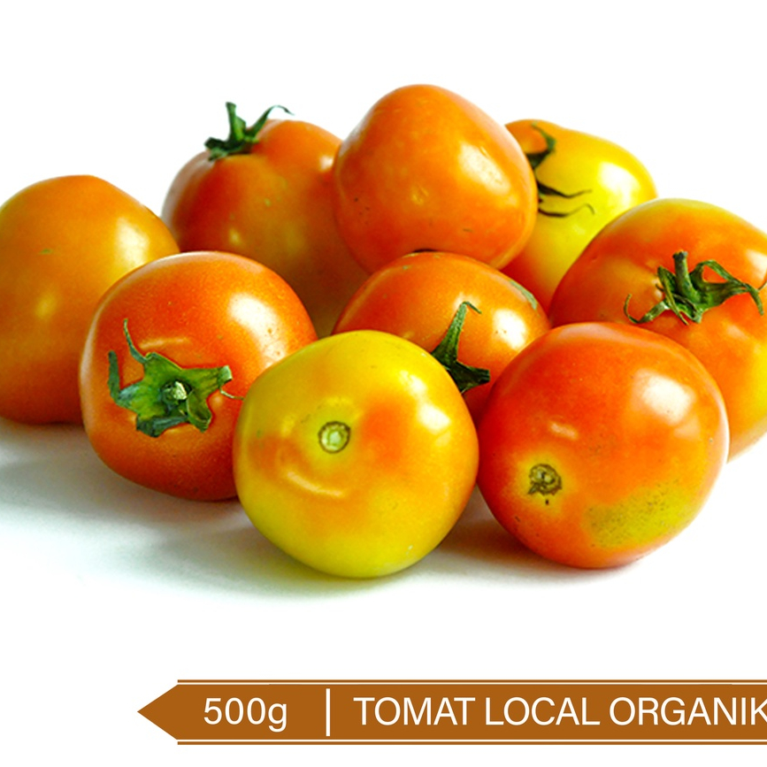 

Tomat Buah Lokal Organik 500g / Organic Local Tomato 500g