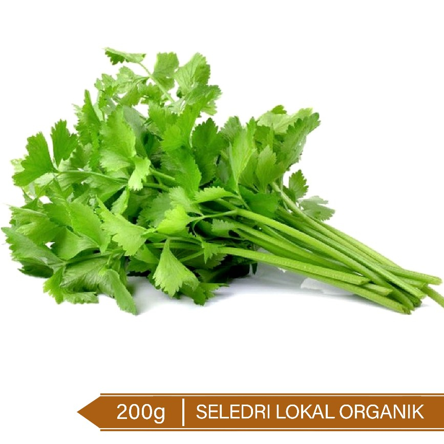 

Seledri Lokal Organik / Organic Celery 200g