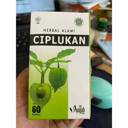 KAPSUL CIPLUKAN HERBAL ALAMI ISI 60 KAPSUL INAYAH HERBAL / KAPSUL DAUN CIPLUKAN