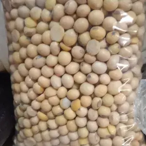 

Kacang kedelai