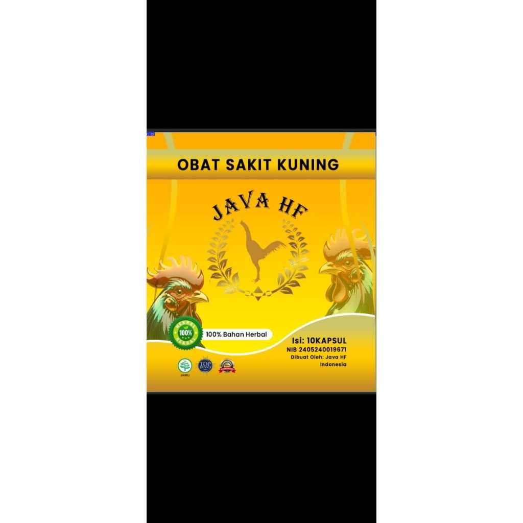 OBAT SAKIT KUNING PADA AYAM