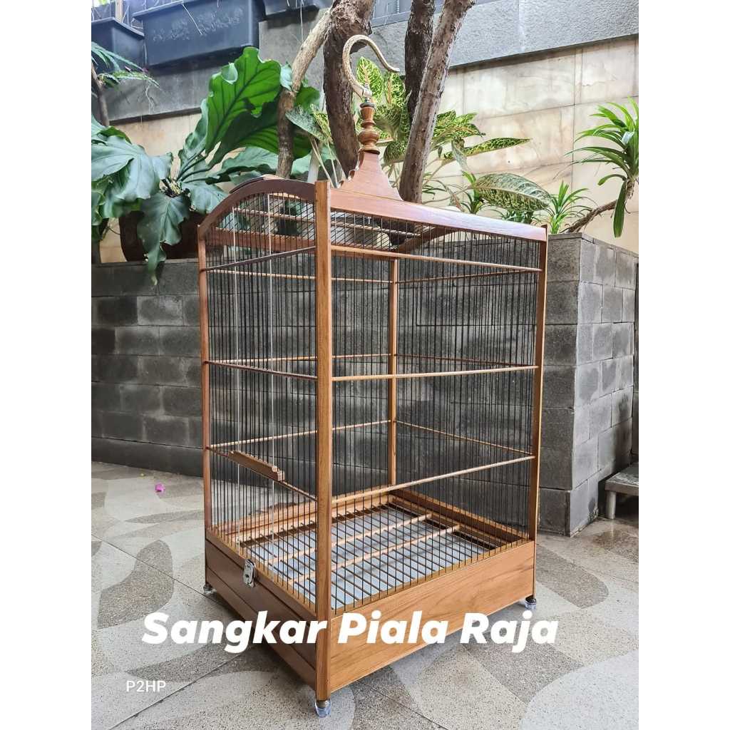 SANGKAR KOTAK NUTURAL NO. 1 KACER PIALA RAJA 2025