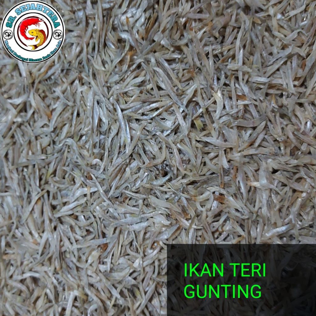 

IKAN TERI GUNTING / IKAN ASIN TERI GUNTING / IKAN TERI / IKAN ASIN