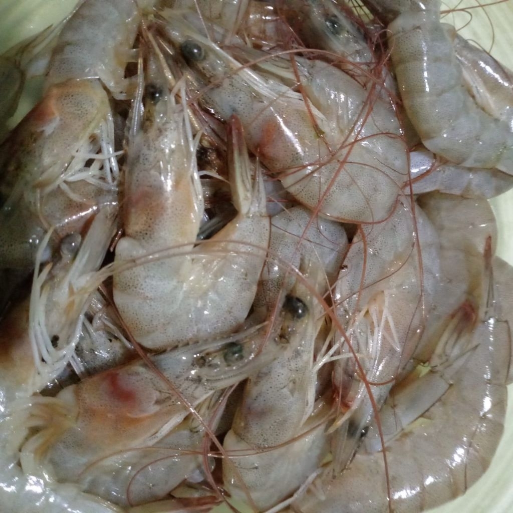 

udang segar ukuran sedang 500g,1kg