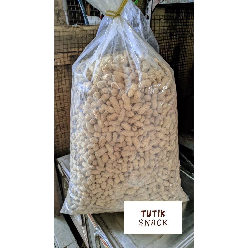 

kacang garuda kulit gurih renyah