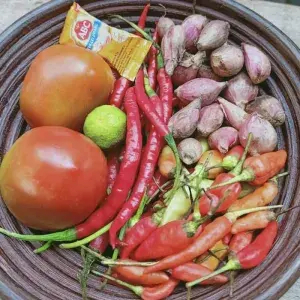 

Paket Sambelan + Terasi