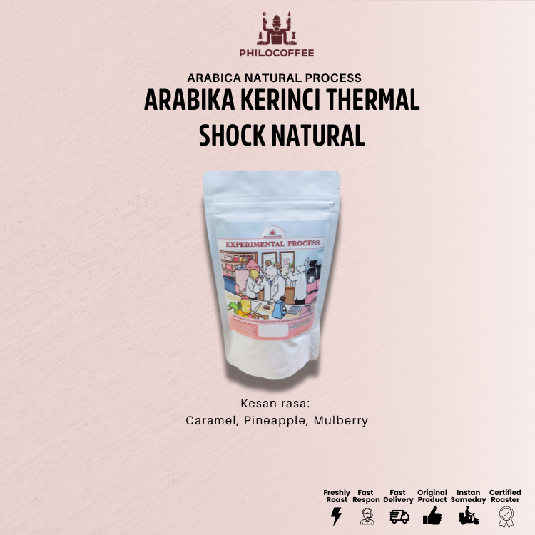 

Kopi Arabika Kerinci Termal Shock Natural | Arabica Coffee - 100gr