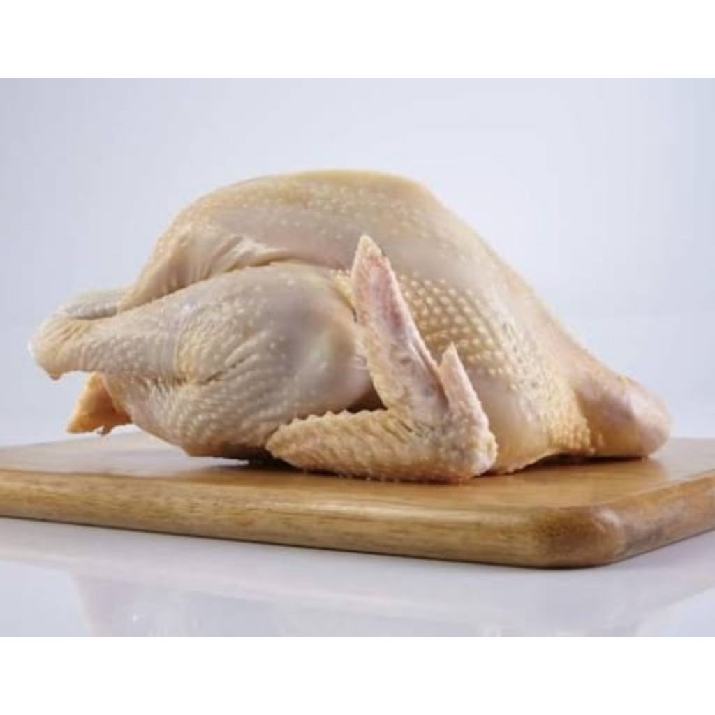 

Ayam Kampung Segar (dipotong pada hari yang sama)