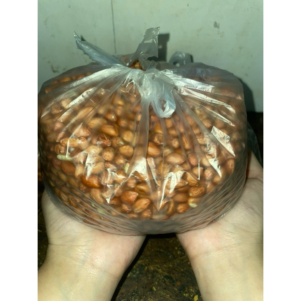 

Kacang Tanah India Fresh 1 kg