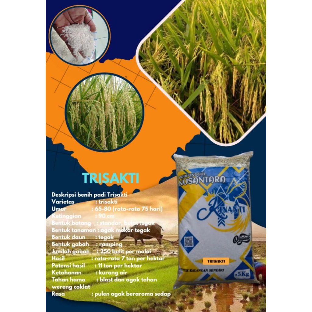 BENIH PADI TRISAKTI Kemasan 5 KG