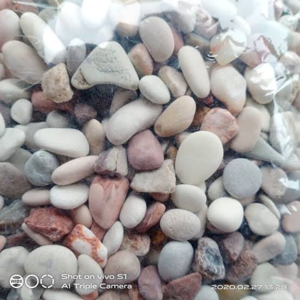 Batu Hias Aquarium Batu Pancawarna Batu Aquarium Hiasan Aquarium