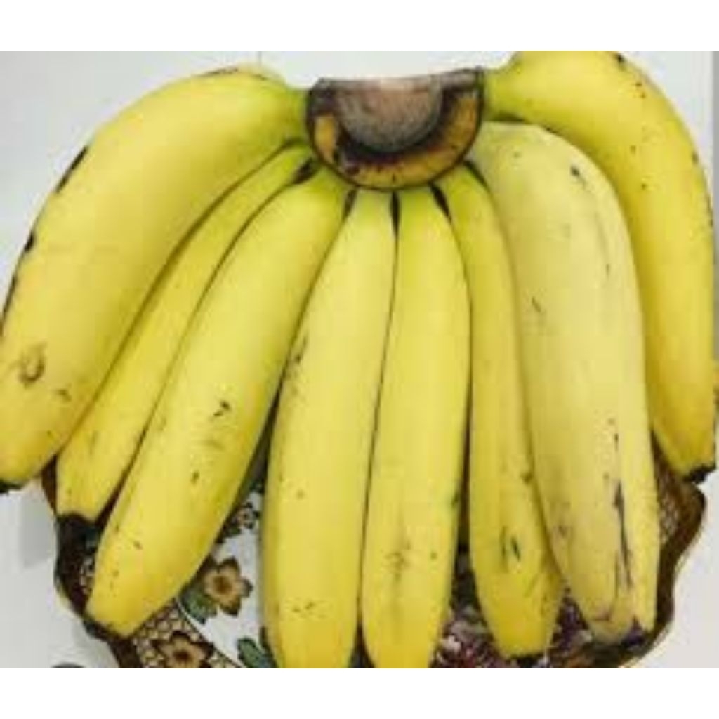 

Buah Pisang Ambon per 1 Sisir / Tandan