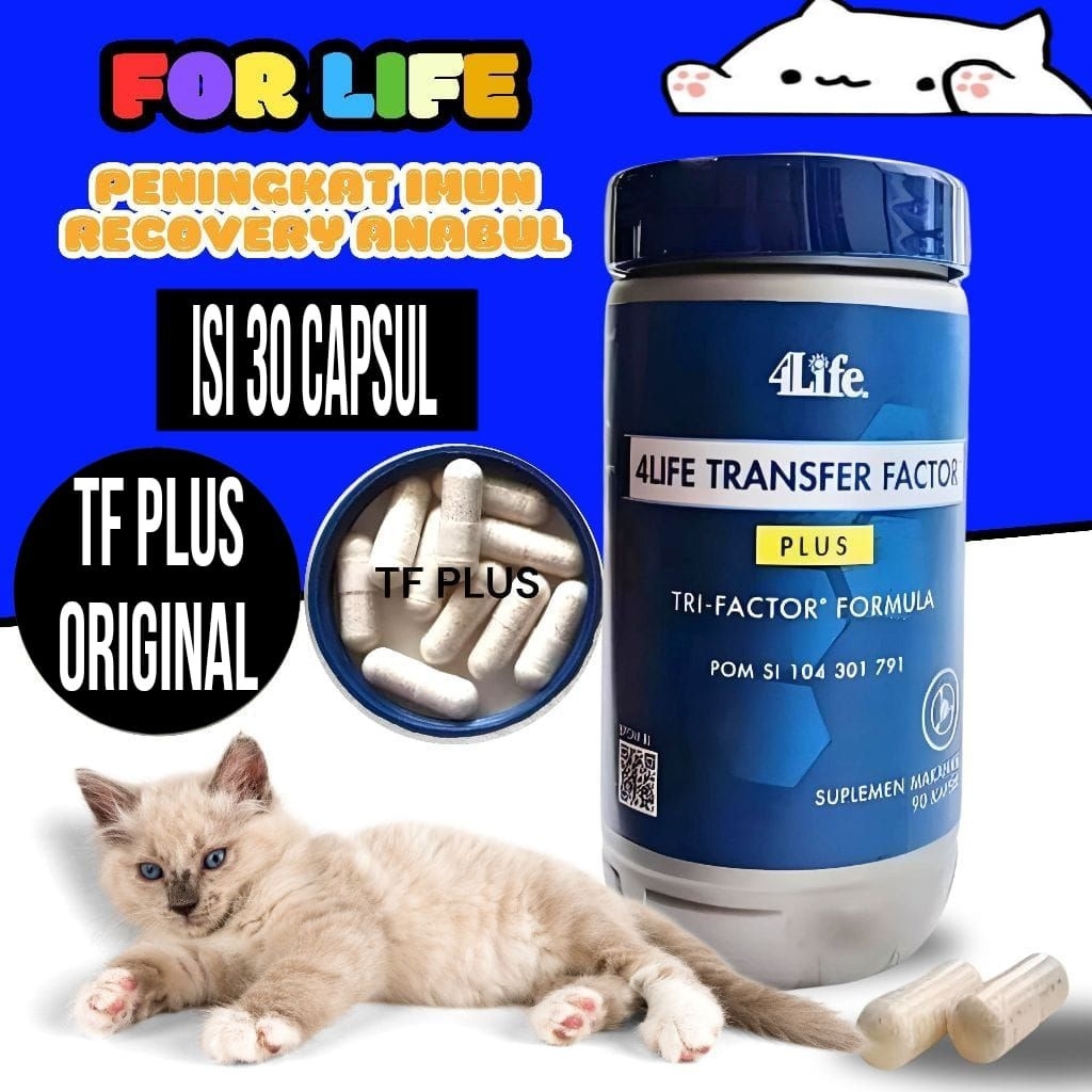 Vitamin Imunitas TF plus isi 30 Anti Virus Panleu Calici Distemper Flu Immune Support Recovery Anjin
