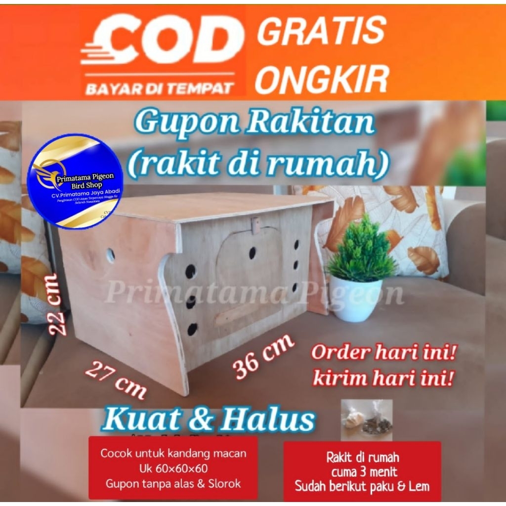 Gupon Merpati Tanpa Alas Rakit di rumah Kandang Gupon Kandang Burung Merpati Tong Merpati