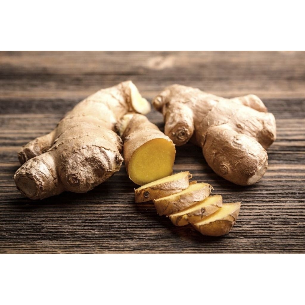 

jahefreshbuatmemasakdanjugaherbal