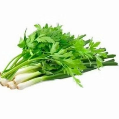 

daun bawang seledri 250gram