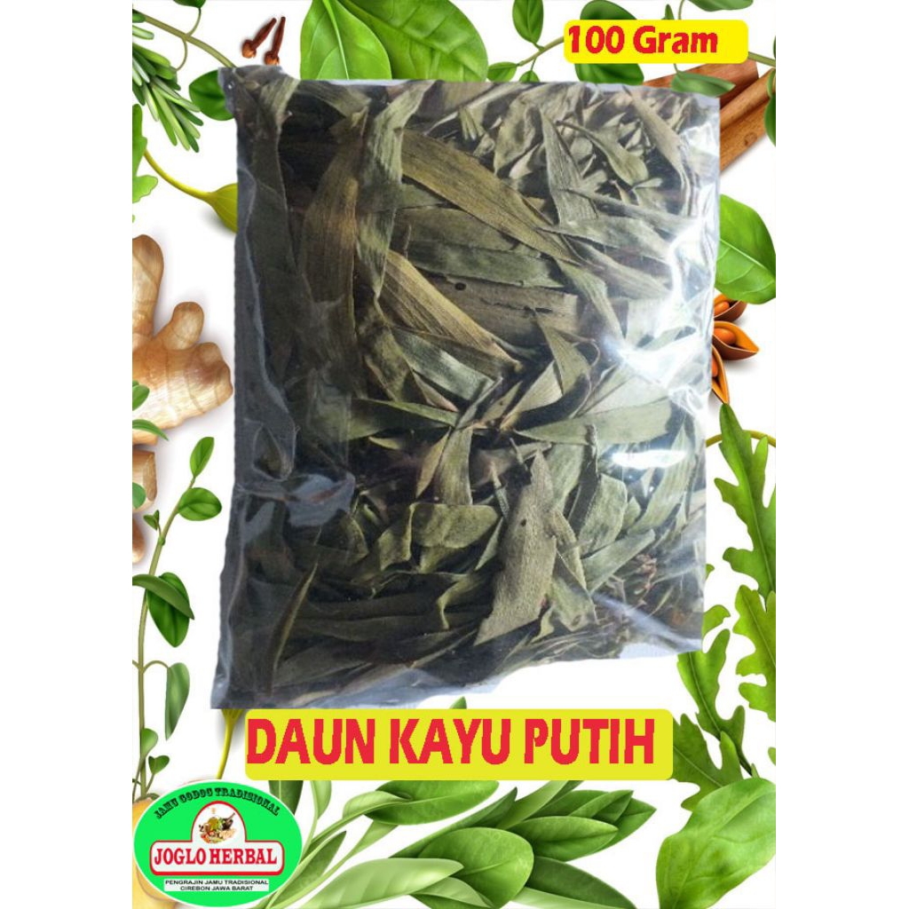 

Daun kayu putih